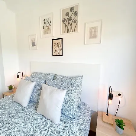 Spacious In The Center Of 公寓 托雷莫利诺斯